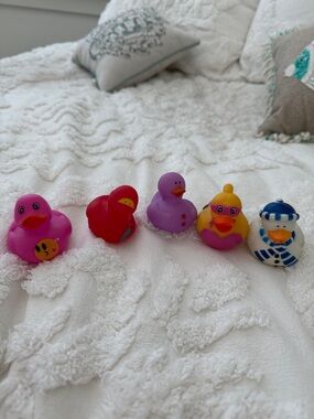Five ducks of different characters